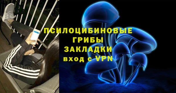 spice Алексеевка