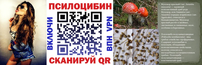 закладки Лермонтов Псилоцибиновые грибы ЛСД