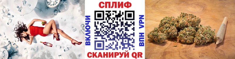 купить закладку Лермонтов Шишки марихуана тримм